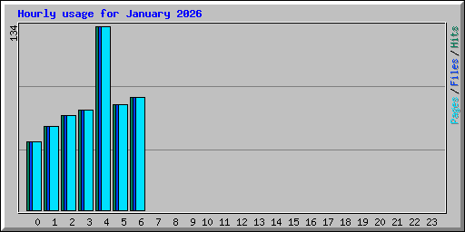 Hourly usage for January 2026
